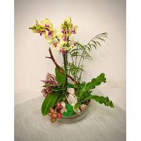 Флорариум с желтой орхидеей